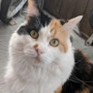 Meet your Posher, Zoe